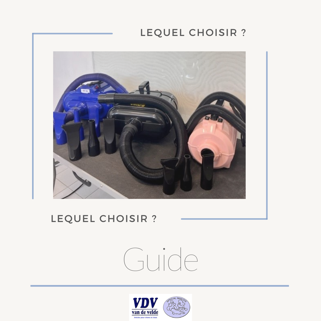 Image Blog Poil desseche